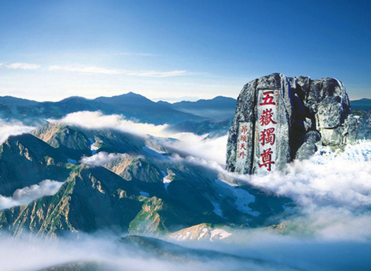 Tenemos un equipo profesional, un servicio de primera clase